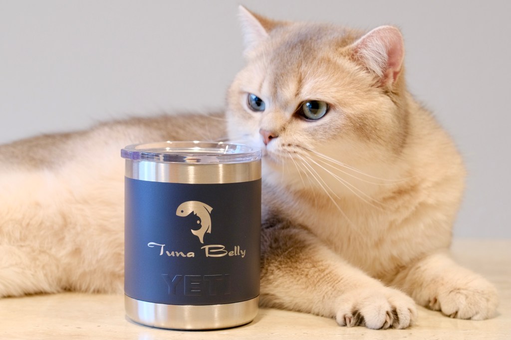 Tuna Belly Cattery British Shorthair in Los Angeles, California